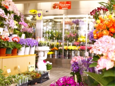 「ＨＡＮＡＹＡＳＵ」　（石川県能美市）の花屋店舗写真2